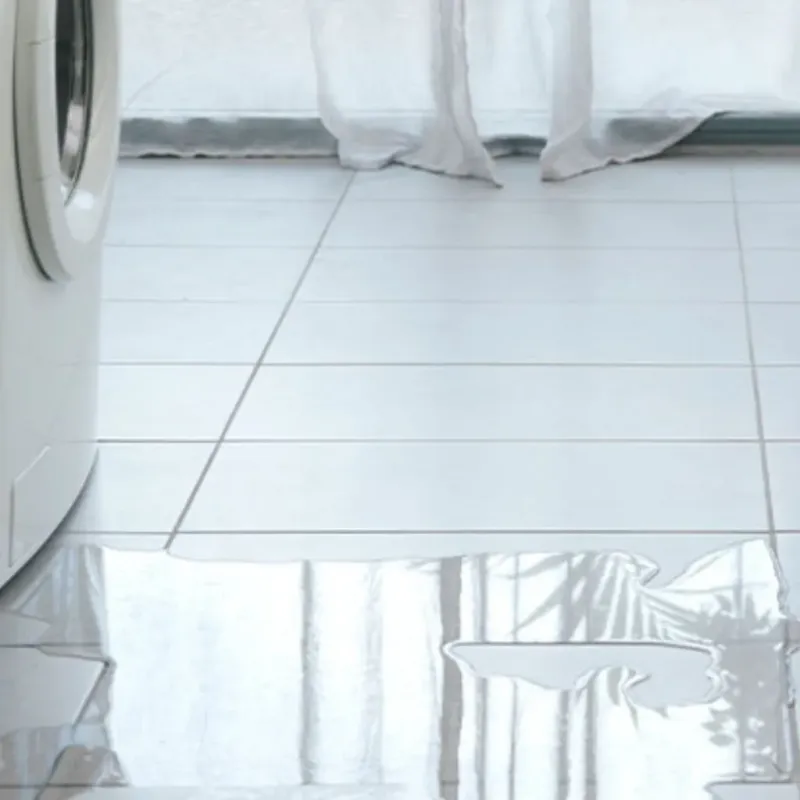 Appliance Leak Cleanup in Willowbrook, CA