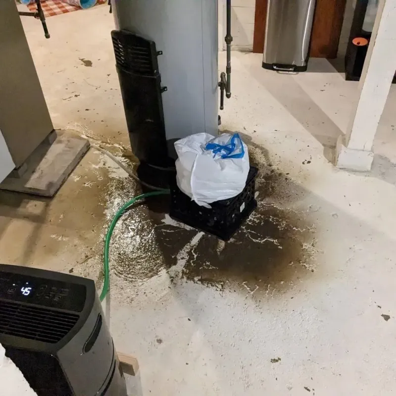 Sewage Backup Cleanup Service in Willowbrook, CA